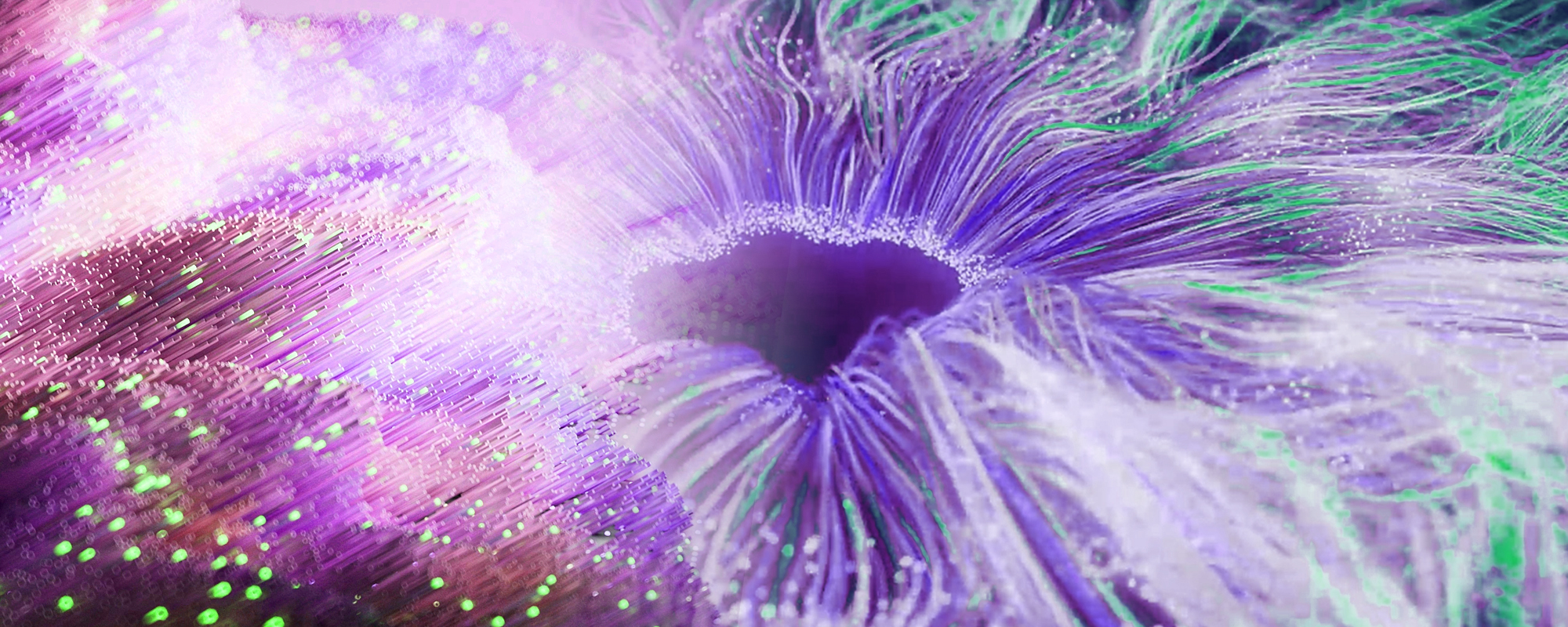 专题  线-houdiniUE