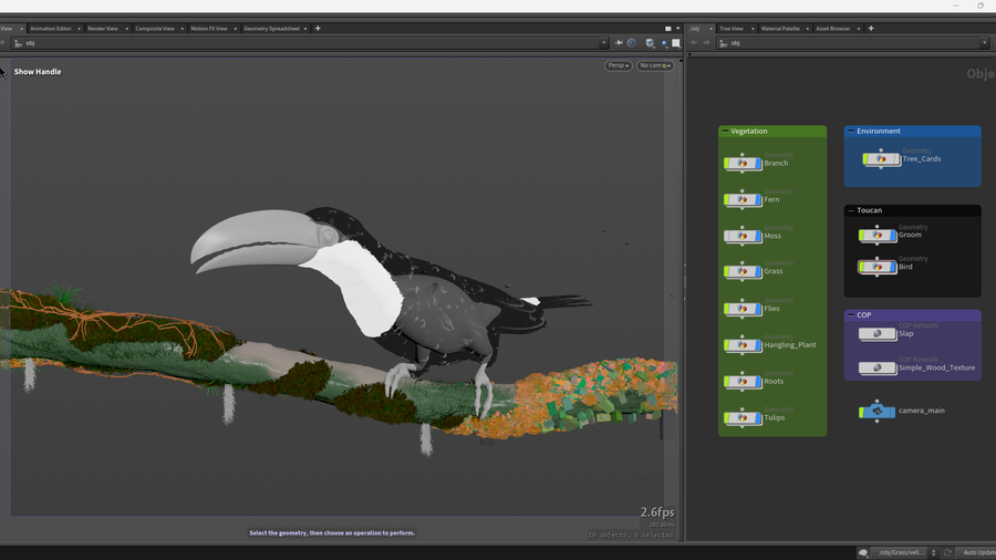 图片[4]-巨嘴鸟 |完整场景-houdiniUE