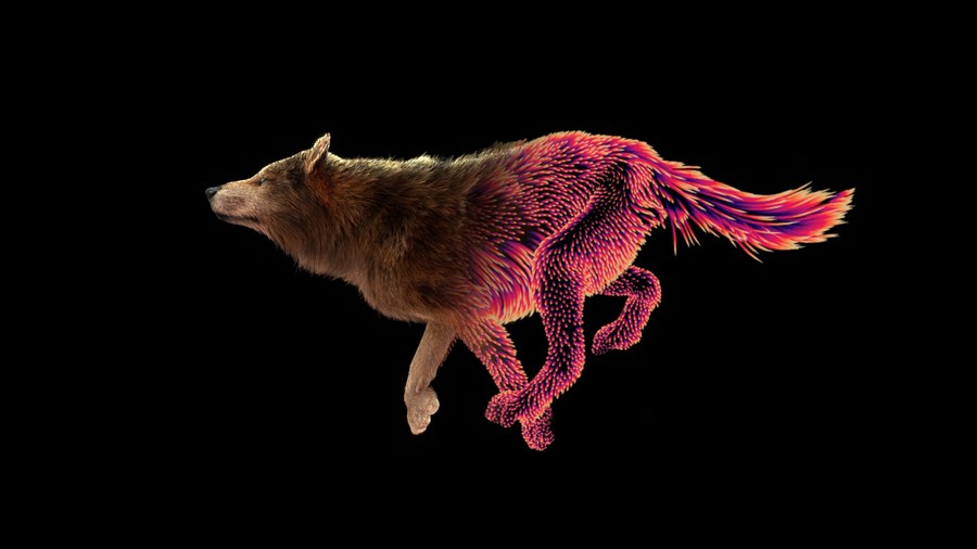 图片[1]-机器学习 毛发生长-houdiniUE