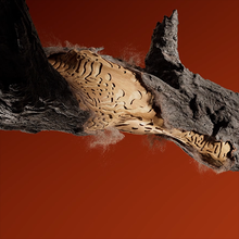 树干 木蠹虫-houdiniUE