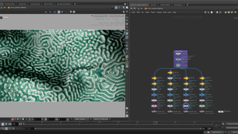 珊瑚扩散-houdiniUE
