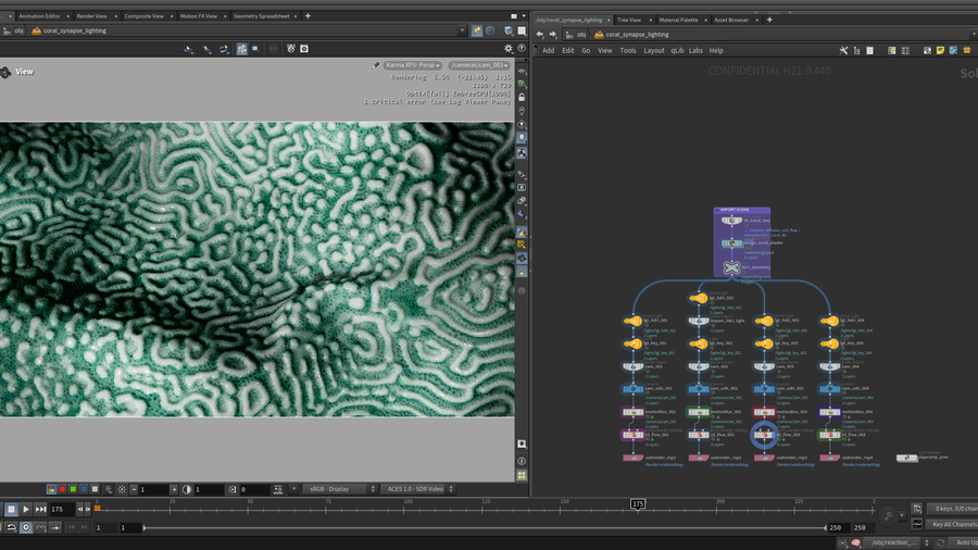 图片[5]-珊瑚扩散-houdiniUE