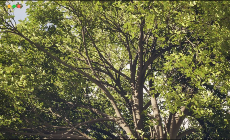 高度精细的植物系统插件Natsura-houdiniUE