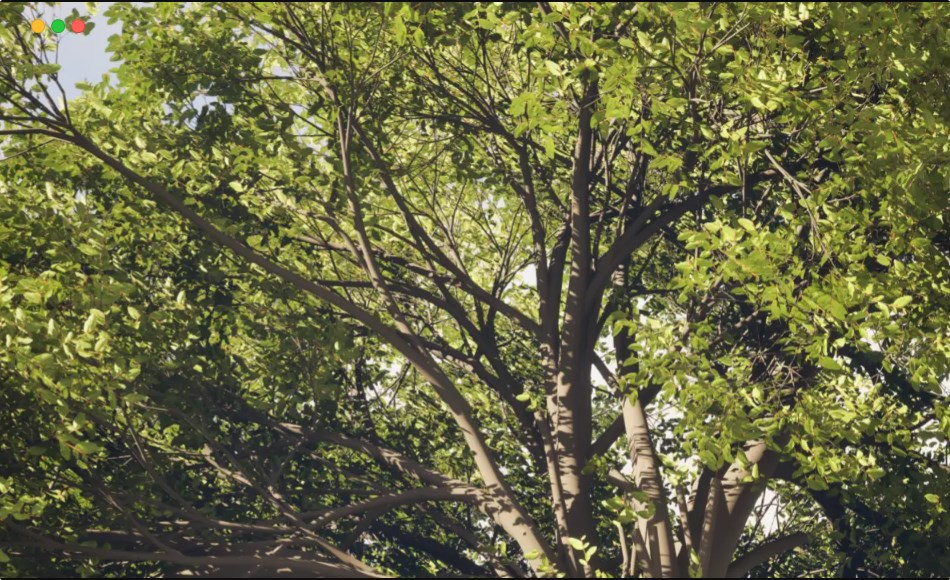 图片[1]-高度精细的植物系统插件Natsura-houdiniUE